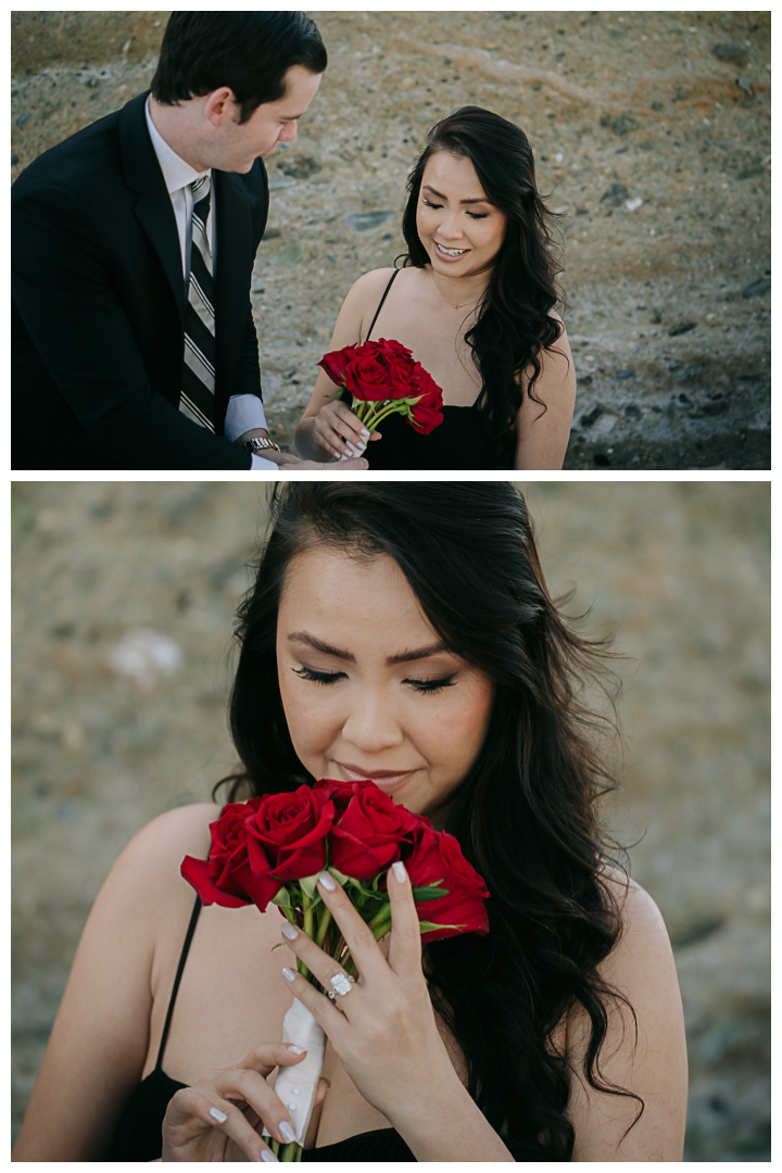 Surprise Proposal & Mini Engagement session in Laguna Beach, Los Angeles, California