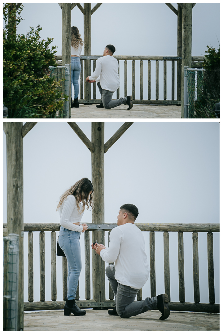 Surprise Proposal at Palos Verdes Estates, Los Angeles, California 