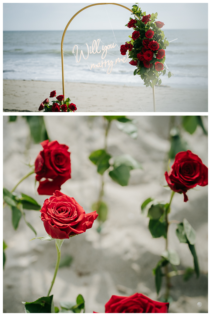 Surprise Proposal at Palos Verdes Estates, Los Angeles, California 