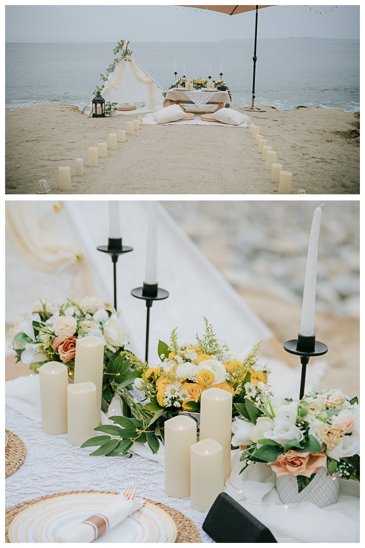 Surprise Proposal at Palos Verdes Estates, Los Angeles, California 