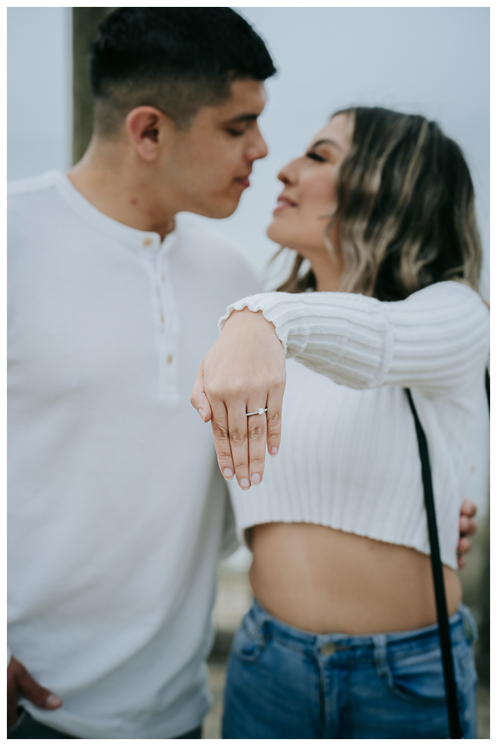 Surprise Proposal at Palos Verdes Estates, Los Angeles, California 