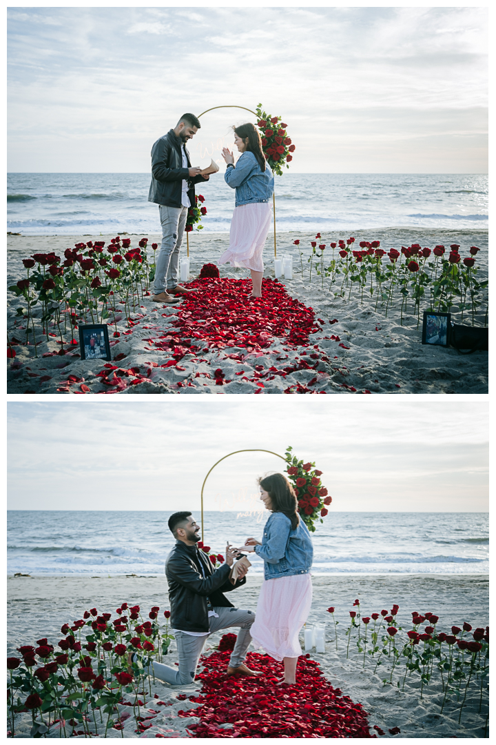 Surprise Proposal at Palos Verdes Estates, Los Angeles, California 