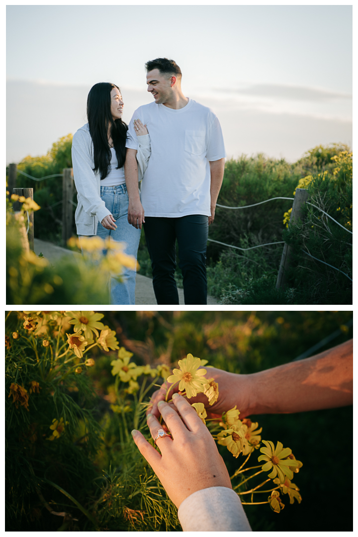 Surprise Proposal at Point Dume in Malibu, Los Angeles, California 