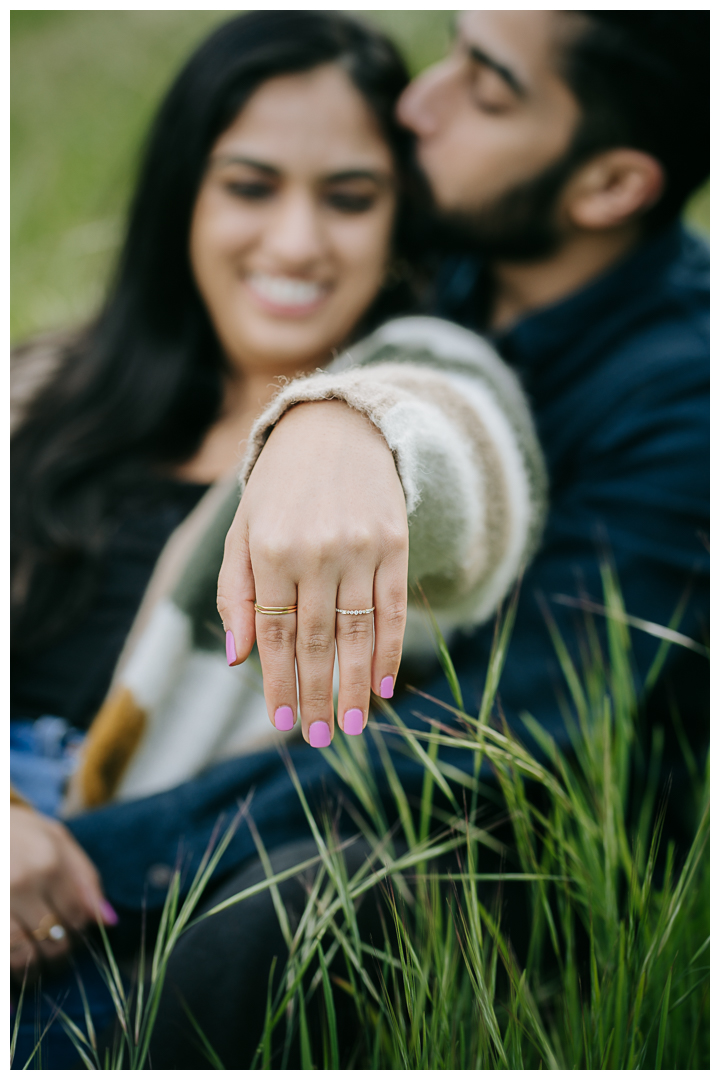 Surprise Proposal at Palos Verdes Estates, Los Angeles, California 