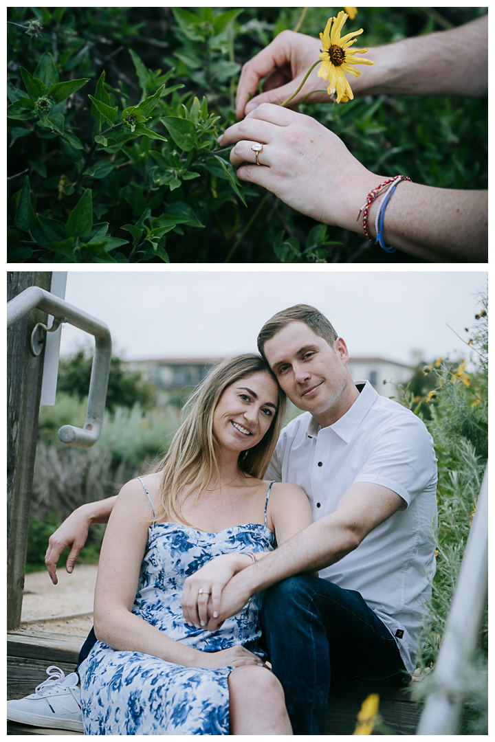 Surprise Proposal at Palos Verdes Estates, Los Angeles, California 