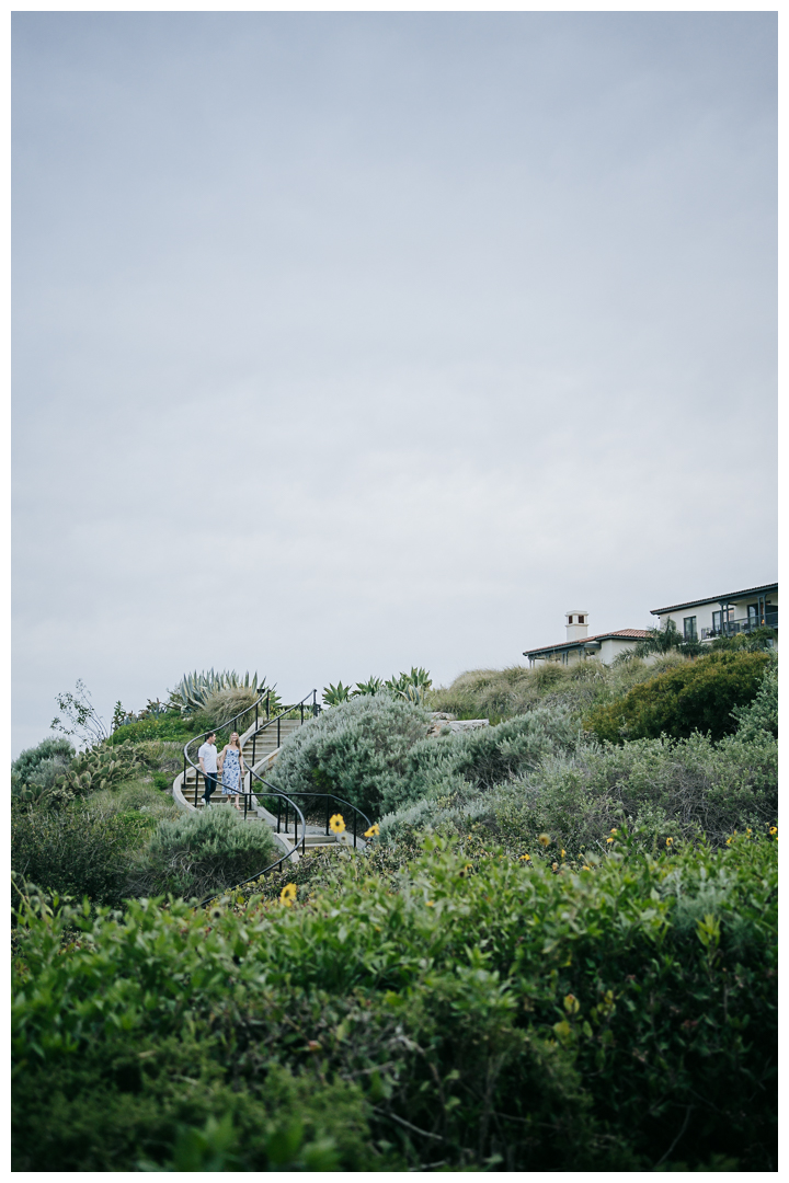 Surprise Proposal at Palos Verdes Estates, Los Angeles, California 