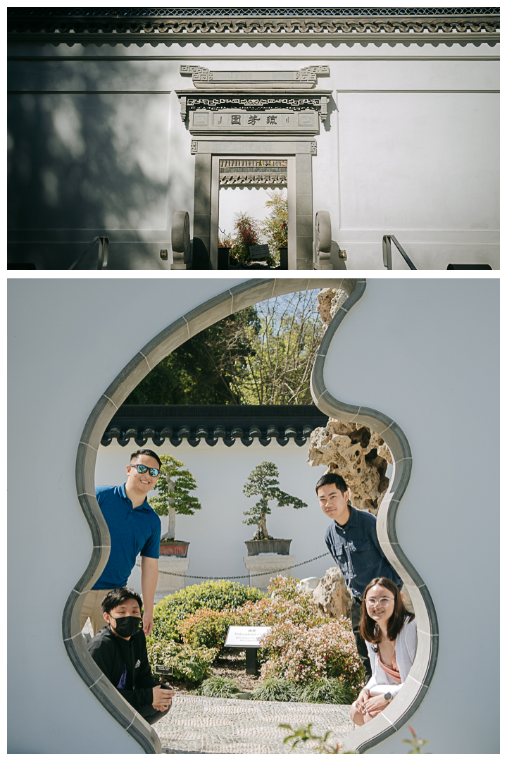 Surprise Marriage Proposal at Huntington Library in San Marino, Los Angeles, California