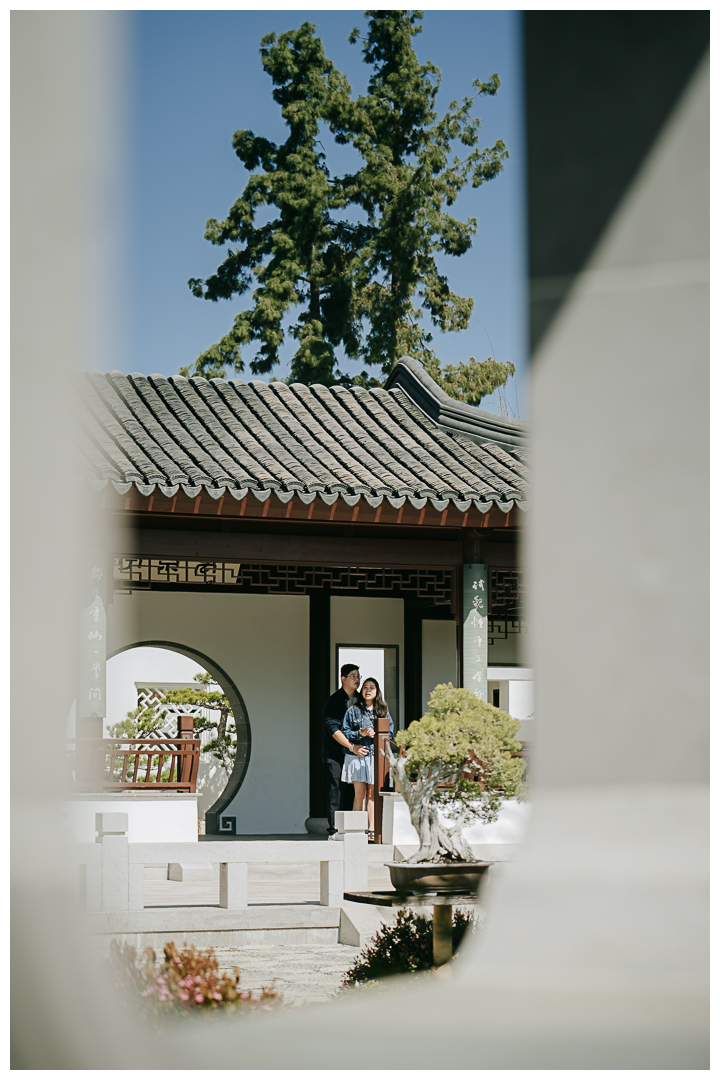 Surprise Marriage Proposal at Huntington Library in San Marino, Los Angeles, California