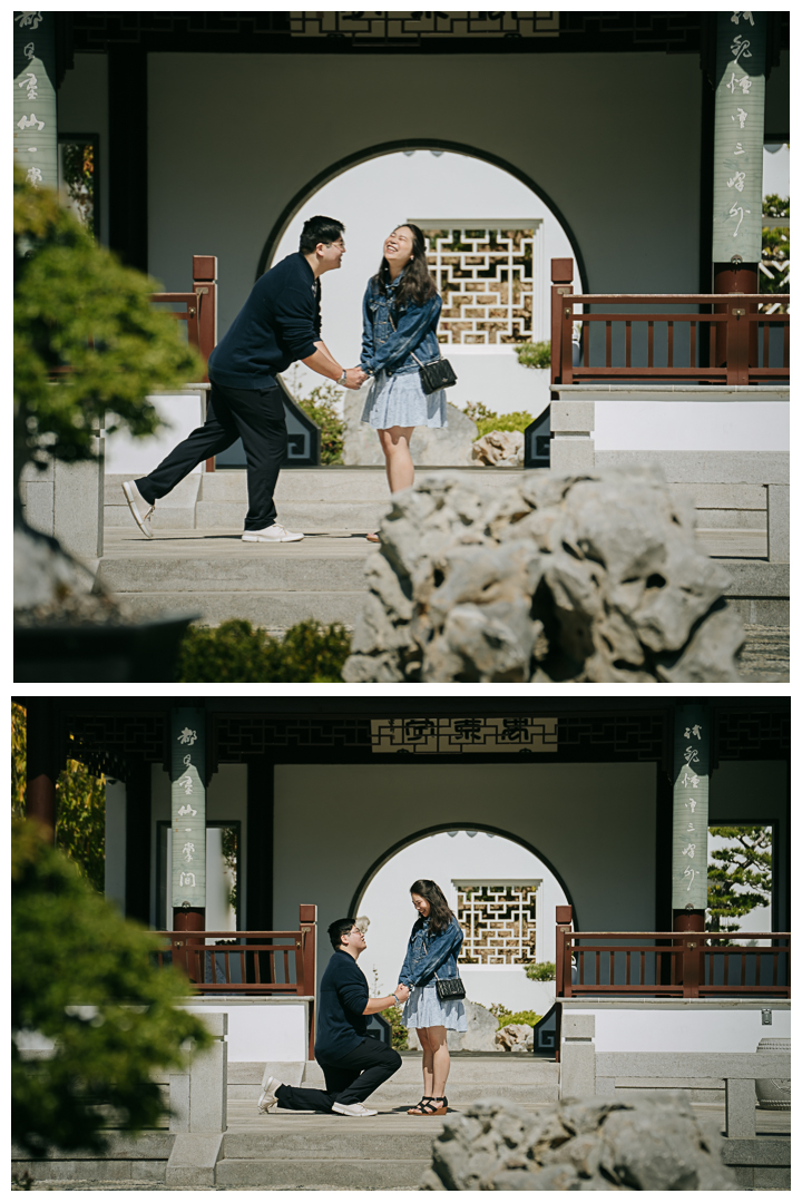 Surprise Marriage Proposal at Huntington Library in San Marino, Los Angeles, California