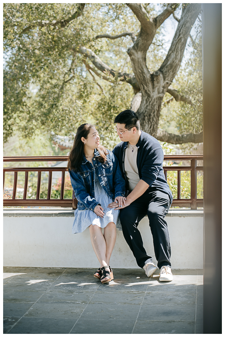 Surprise Marriage Proposal at Huntington Library in San Marino, Los Angeles, California