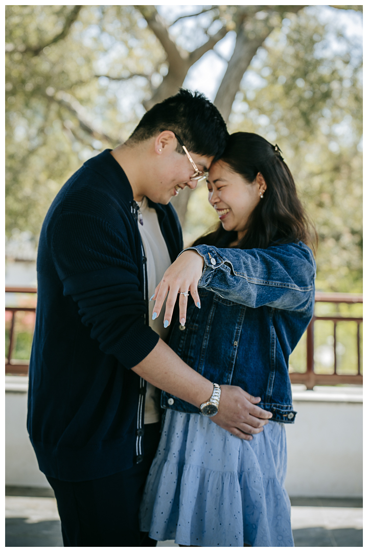 Surprise Marriage Proposal at Huntington Library in San Marino, Los Angeles, California