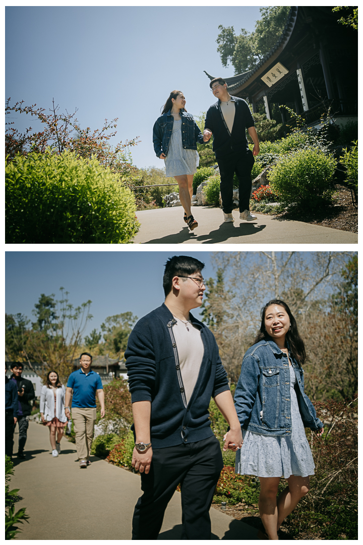 Surprise Marriage Proposal at Huntington Library in San Marino, Los Angeles, California