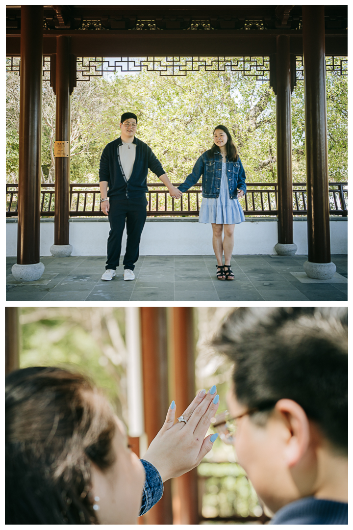 Surprise Marriage Proposal at Huntington Library in San Marino, Los Angeles, California