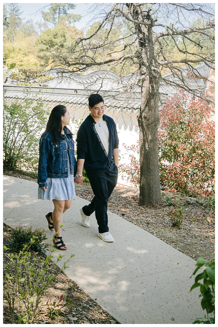 Surprise Marriage Proposal at Huntington Library in San Marino, Los Angeles, California