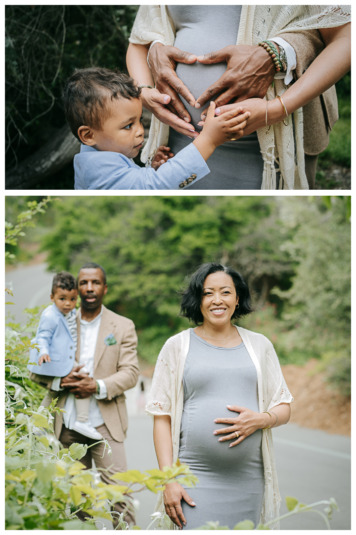 Maternity and Family Photoshoot at South Coast Botanical Garden in Palos Verdes, California