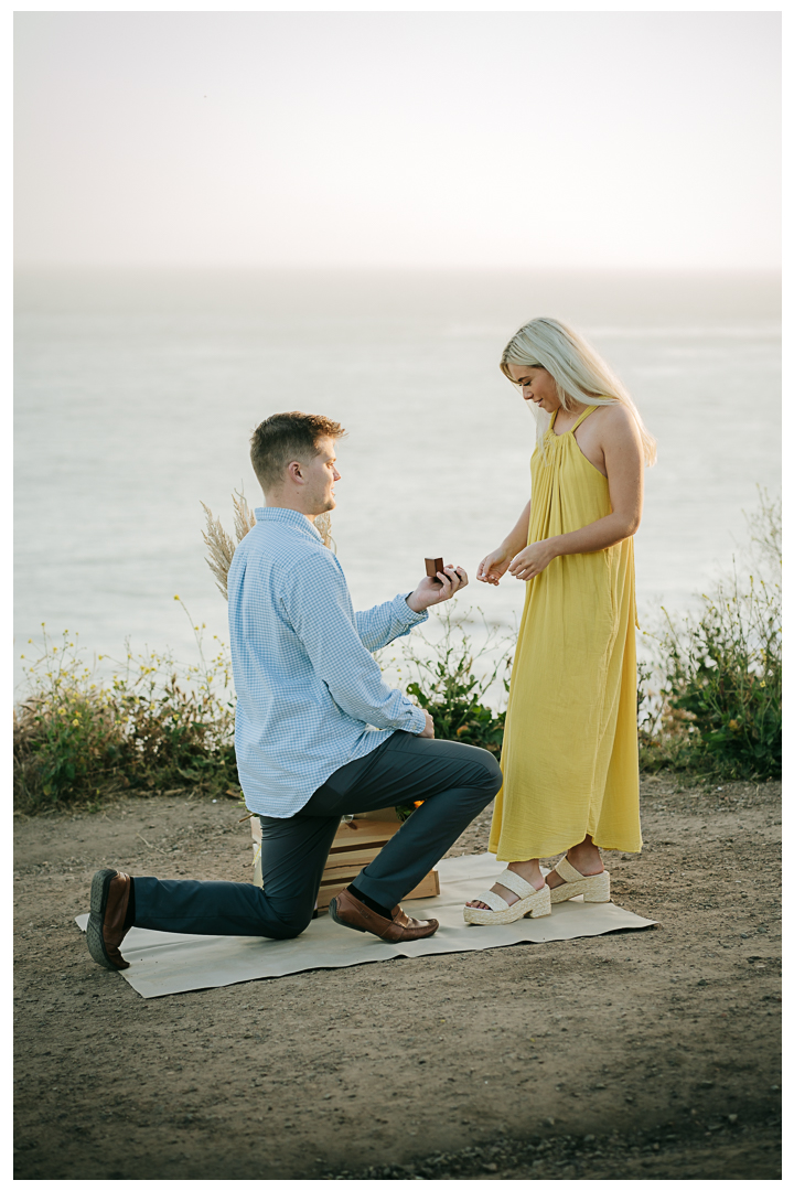 Surprise Proposal at El Matador State Beach in Malibu, Los Angeles, California