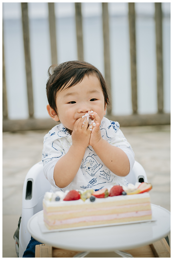 First Birthday Family Photos at Roessler Point in Palos Verdes, Los Angeles, California