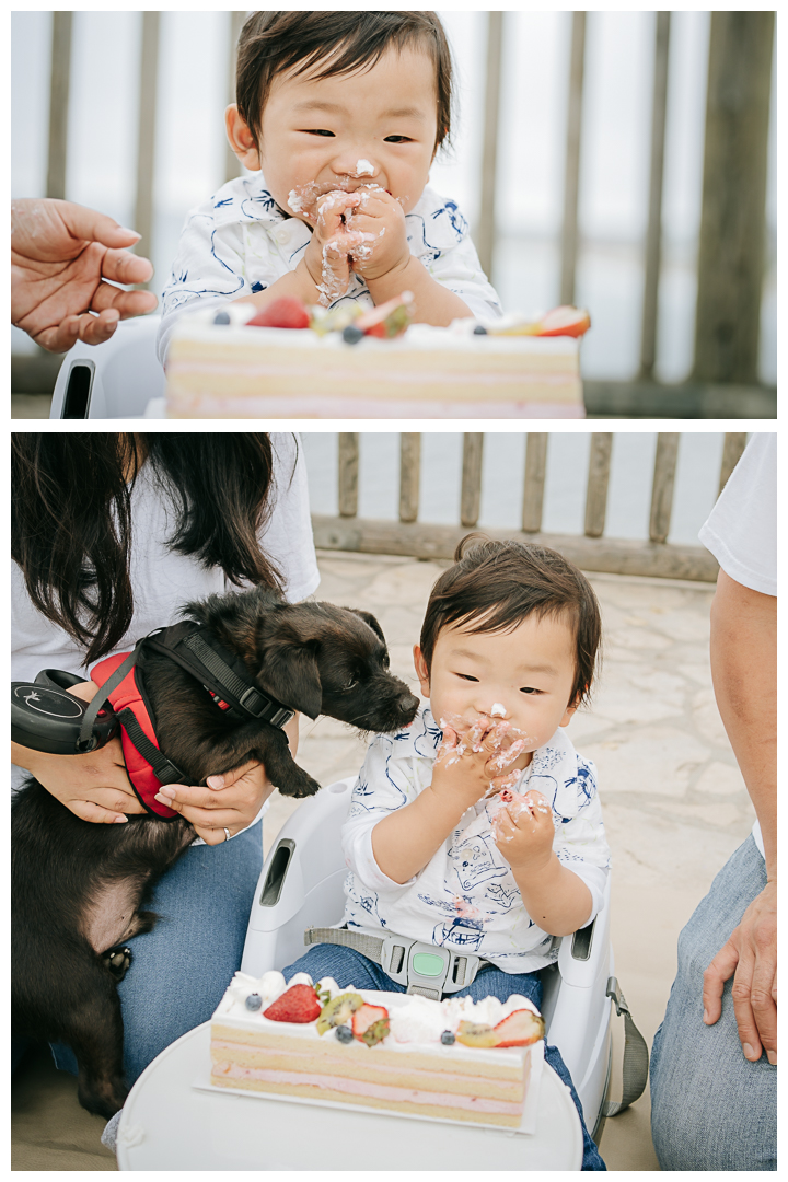 First Birthday Family Photos at Roessler Point in Palos Verdes, Los Angeles, California