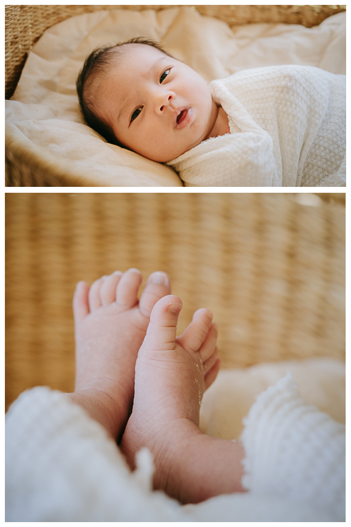 Newborn Family Session at Terranea Resort in Palos Verdes, Los Angeles, California