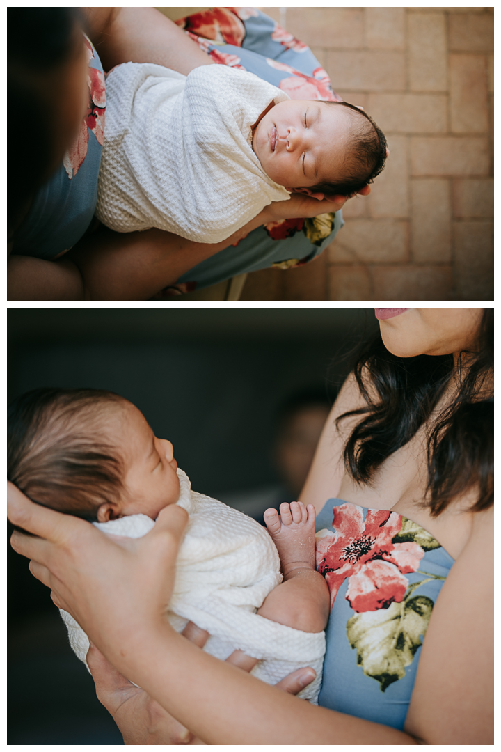 Newborn Family Session at Terranea Resort in Palos Verdes, Los Angeles, California