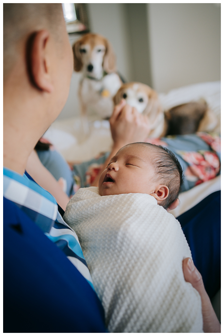 Newborn Family Session at Terranea Resort in Palos Verdes, Los Angeles, California