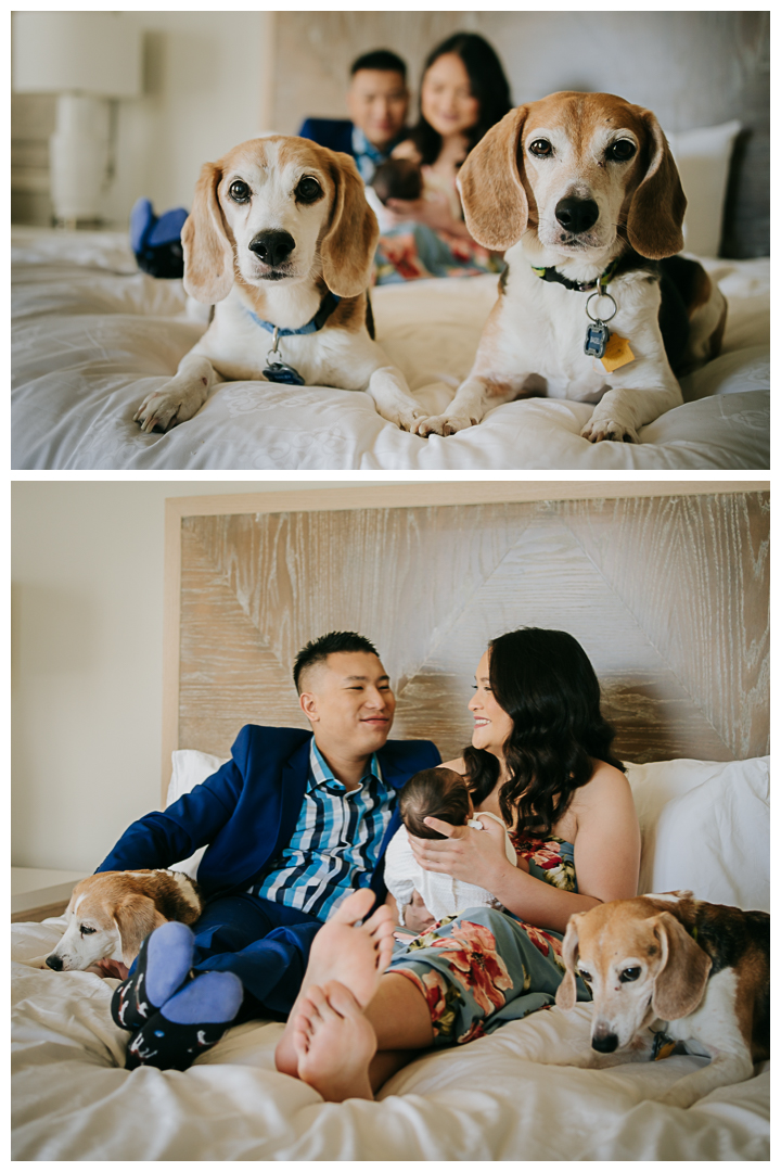 Newborn Family Session at Terranea Resort in Palos Verdes, Los Angeles, California