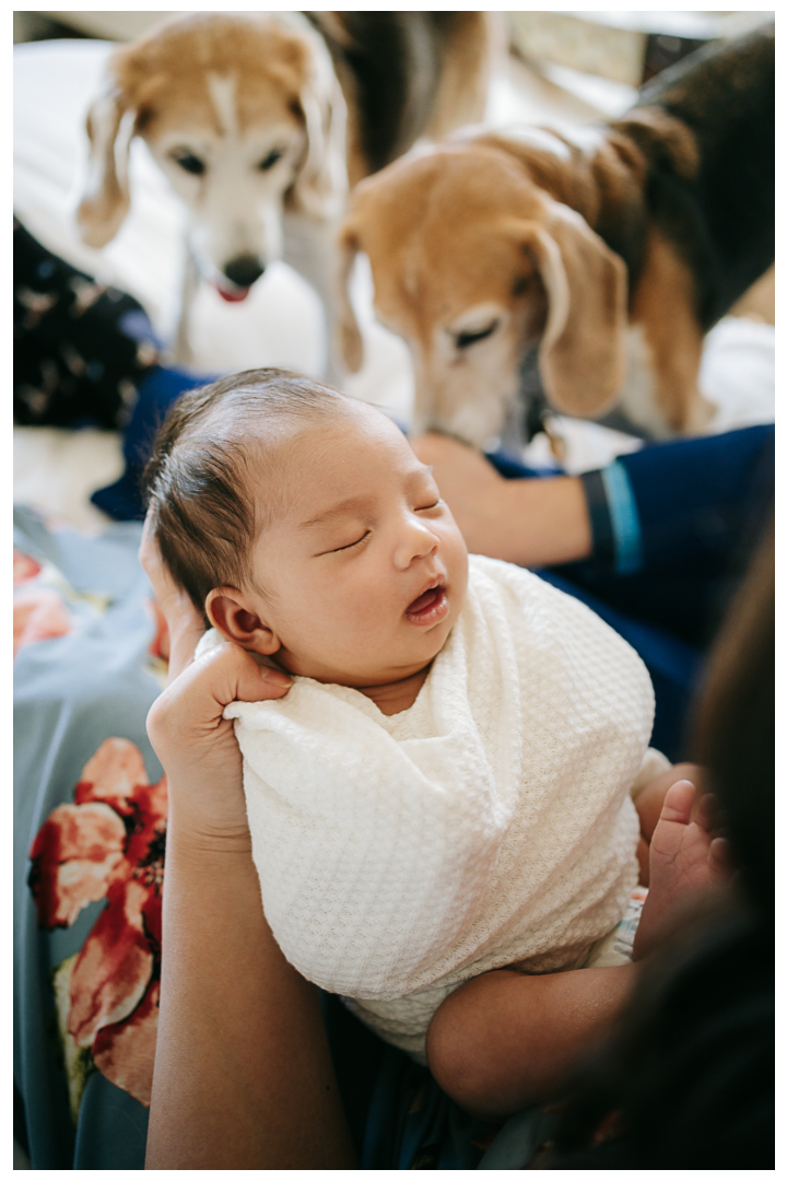 Newborn Family Session at Terranea Resort in Palos Verdes, Los Angeles, California