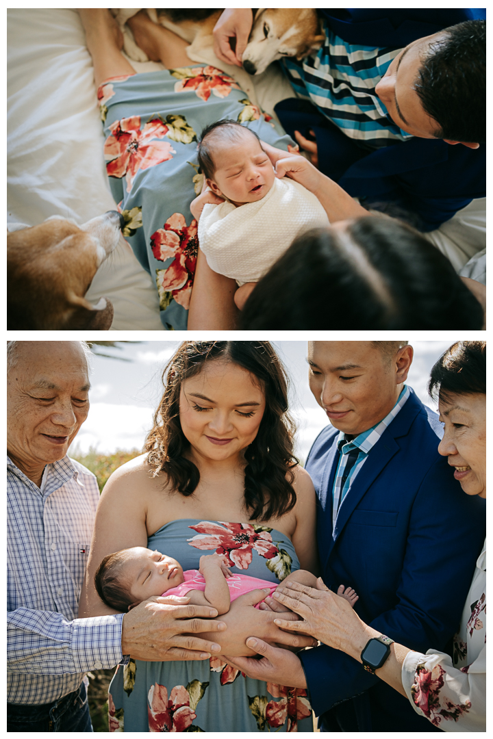 Newborn Family Session at Terranea Resort in Palos Verdes, Los Angeles, California