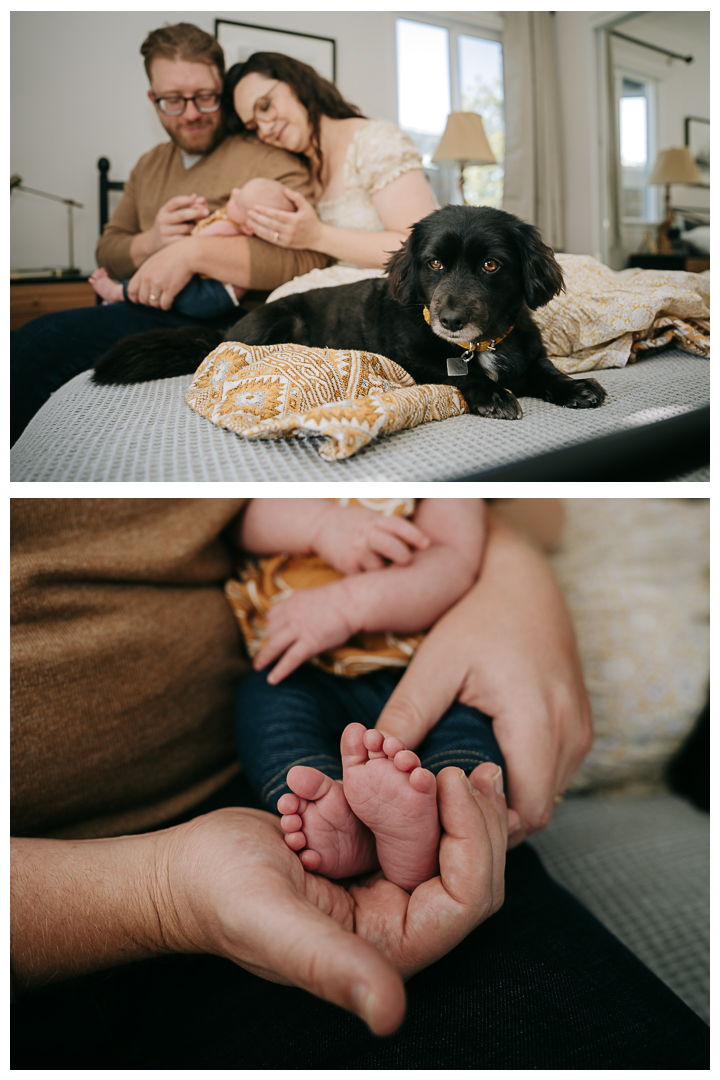 Newborn Family Session at home in Los Angeles, California