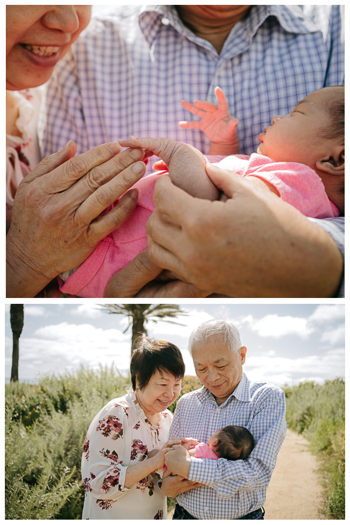 Newborn Family Session at Terranea Resort in Palos Verdes, Los Angeles, California