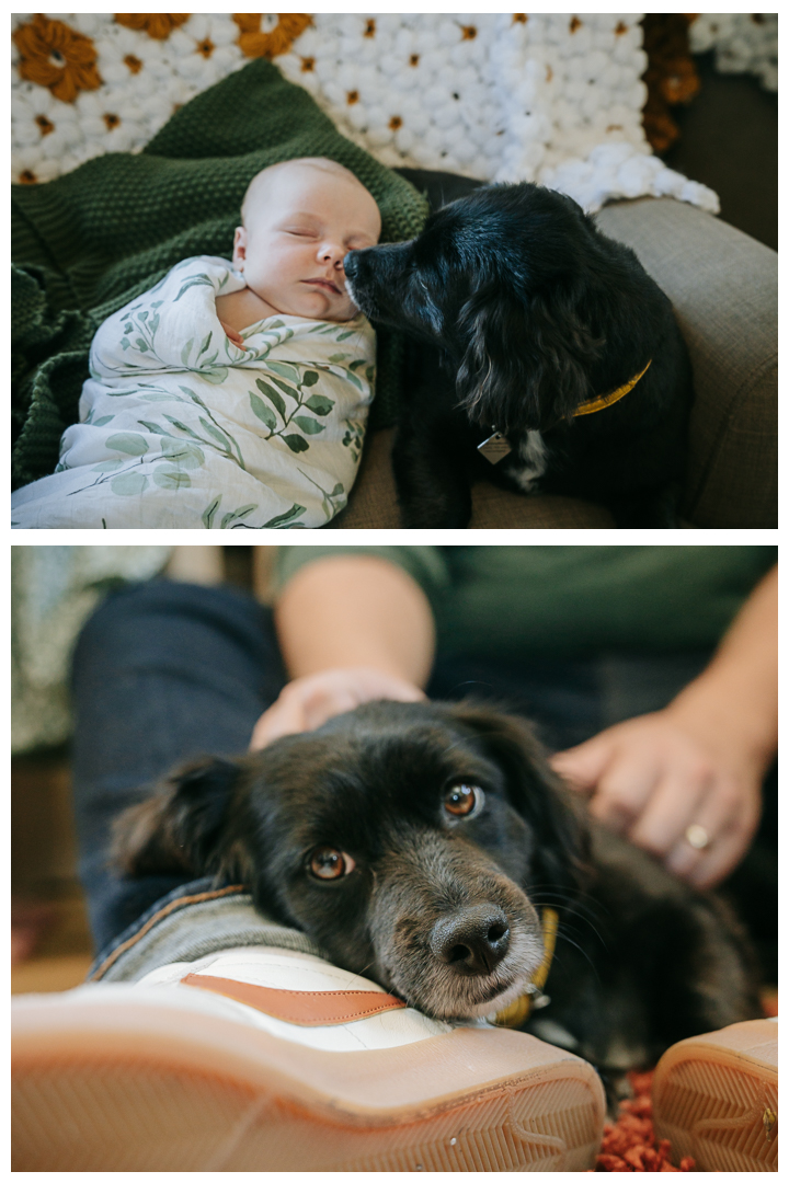 Newborn Family Session at home in Los Angeles, California