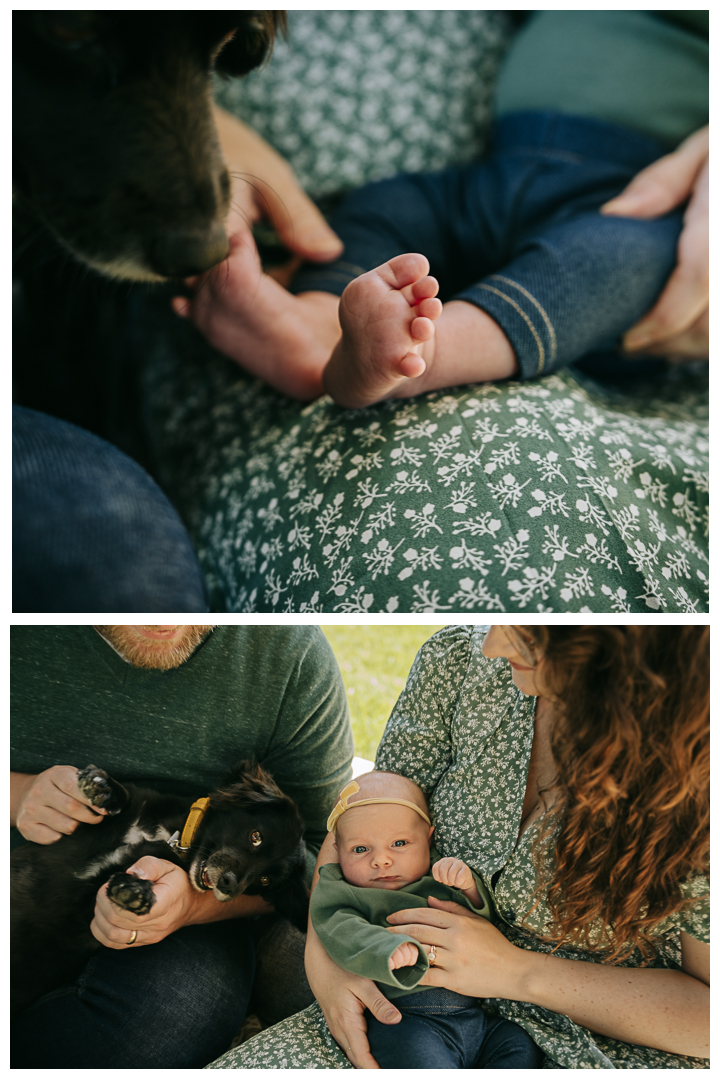 Newborn Family Session at home in Los Angeles, California