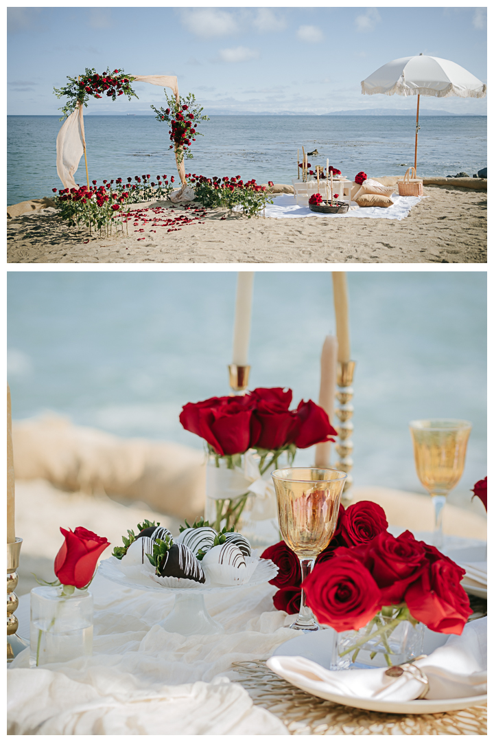 Surprise Proposal and Mini Engagement session at Terranea Resort and Beach in Palos Verdes, Los Angeles, California