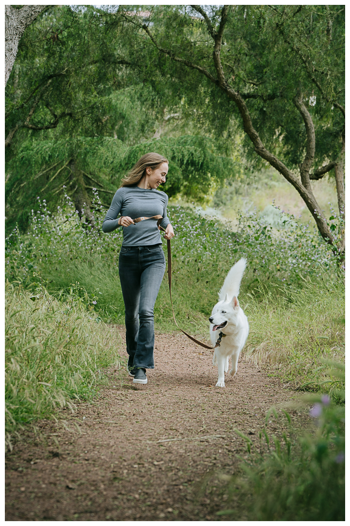 Dography Pet Photography Portrait in Palos Verdes, Los Angeles, California