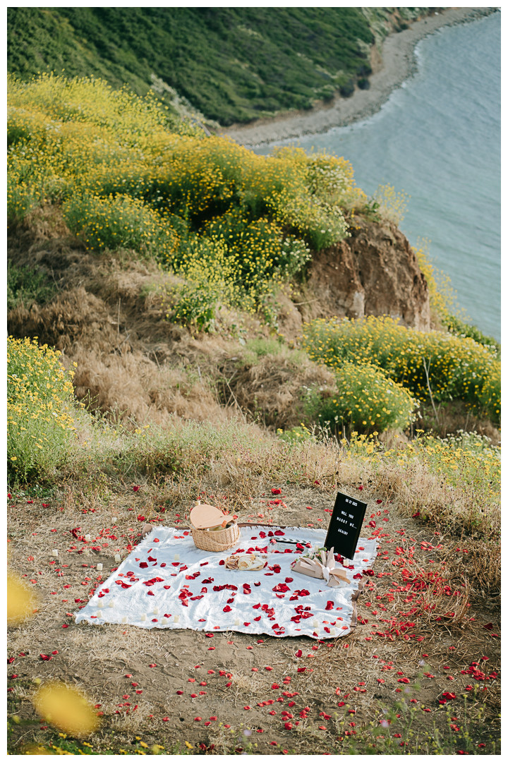 Surprise Marriage Proposal in Palos Verdes, Los Angeles, California 