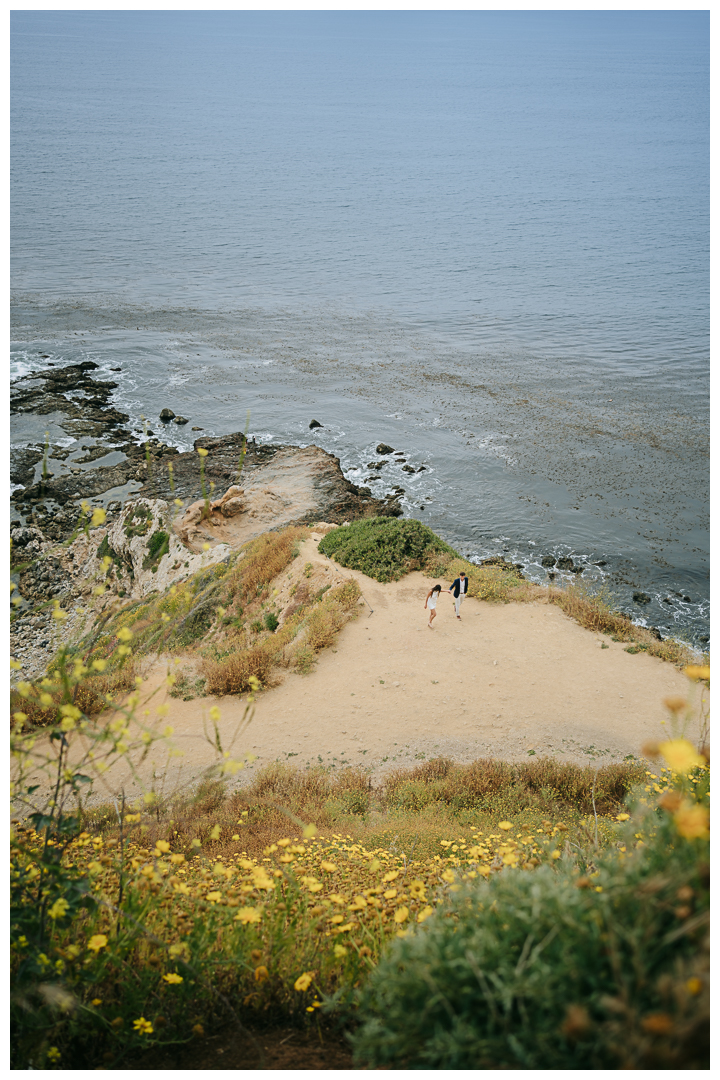 Engagement photos on Bluff Cove in Palos Verdes, Los Angeles, California