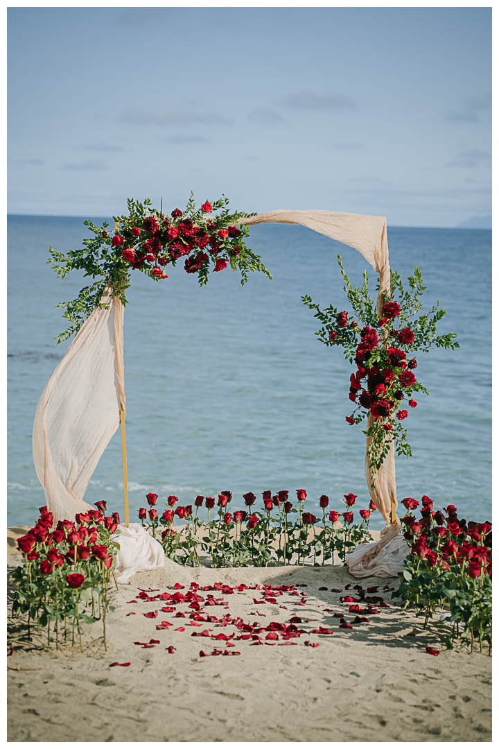 Surprise Proposal and Mini Engagement session at Terranea Resort and Beach in Palos Verdes, Los Angeles, California