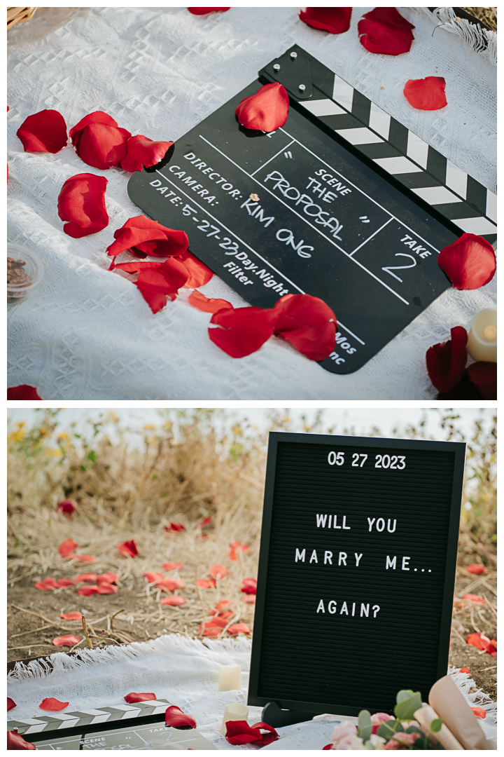 Surprise Marriage Proposal in Palos Verdes, Los Angeles, California 