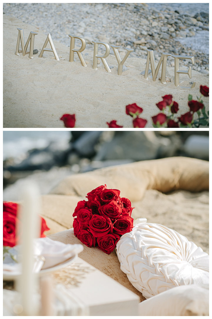 Surprise Proposal and Mini Engagement session at Terranea Resort and Beach in Palos Verdes, Los Angeles, California