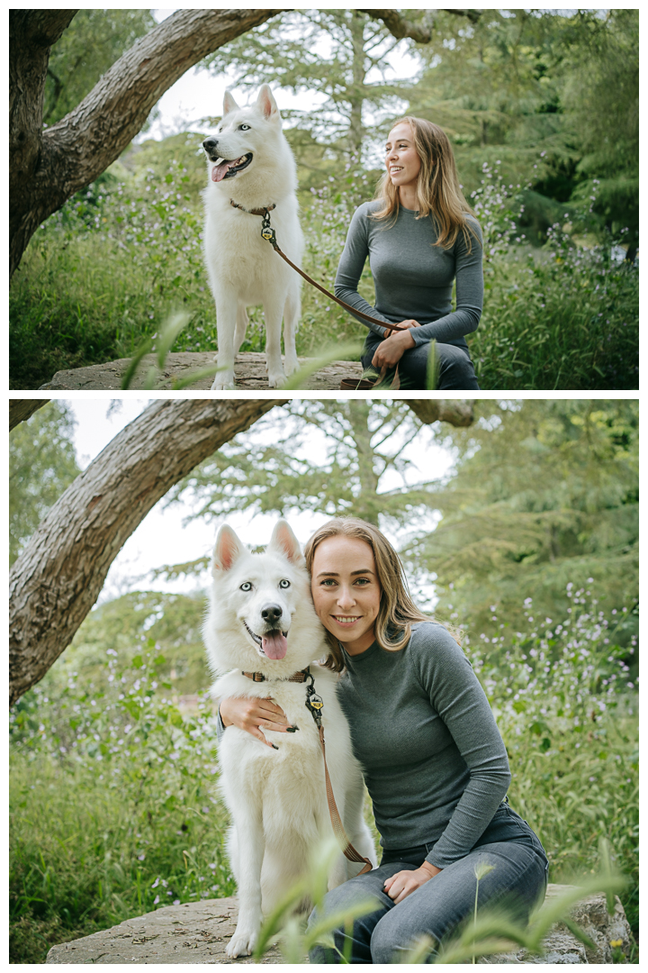 Dography Pet Photography Portrait in Palos Verdes, Los Angeles, California