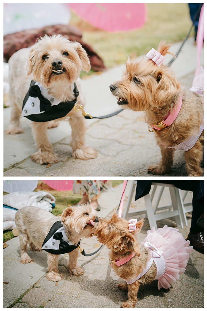 Wedding Ceremony at The Plaza at Cabrillo Marina in San Pedro, Los Angeles, California