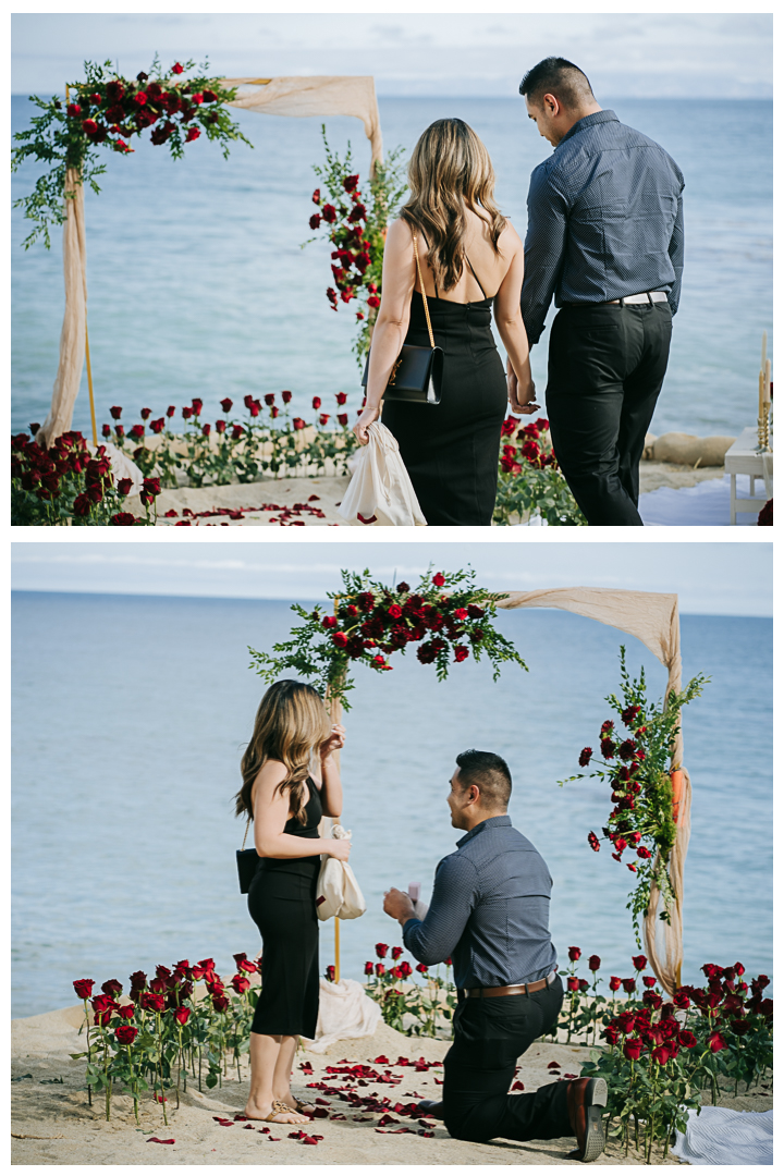 Surprise Proposal and Mini Engagement session at Terranea Resort and Beach in Palos Verdes, Los Angeles, California