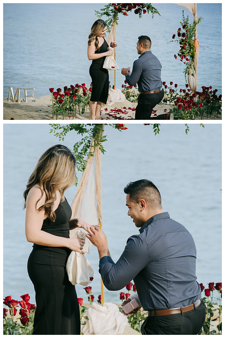 Surprise Proposal and Mini Engagement session at Terranea Resort and Beach in Palos Verdes, Los Angeles, California