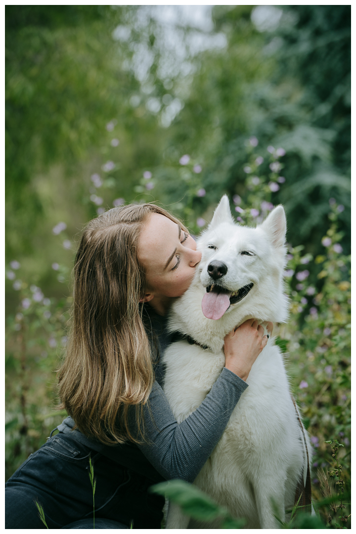 Dography Pet Photography Portrait in Palos Verdes, Los Angeles, California