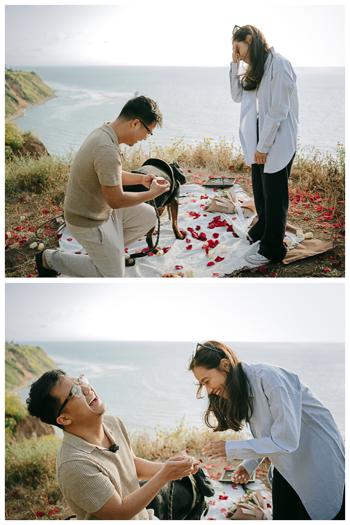 Surprise Marriage Proposal in Palos Verdes, Los Angeles, California 