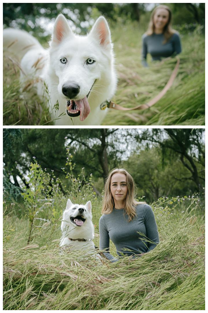 Dography Pet Photography Portrait in Palos Verdes, Los Angeles, California