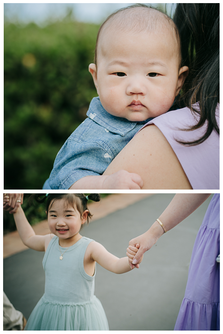 Family Photos at Terranea Resort and Beach in Palos Verdes, Los Angeles, California