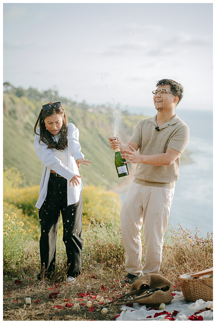 Surprise Marriage Proposal in Palos Verdes, Los Angeles, California 