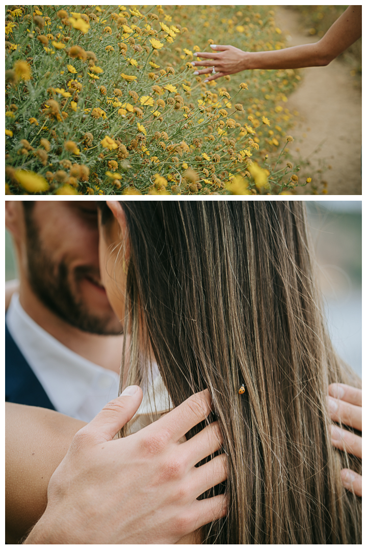 Engagement photos on Bluff Cove in Palos Verdes, Los Angeles, California