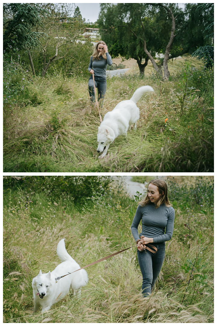 Dography Pet Photography Portrait in Palos Verdes, Los Angeles, California